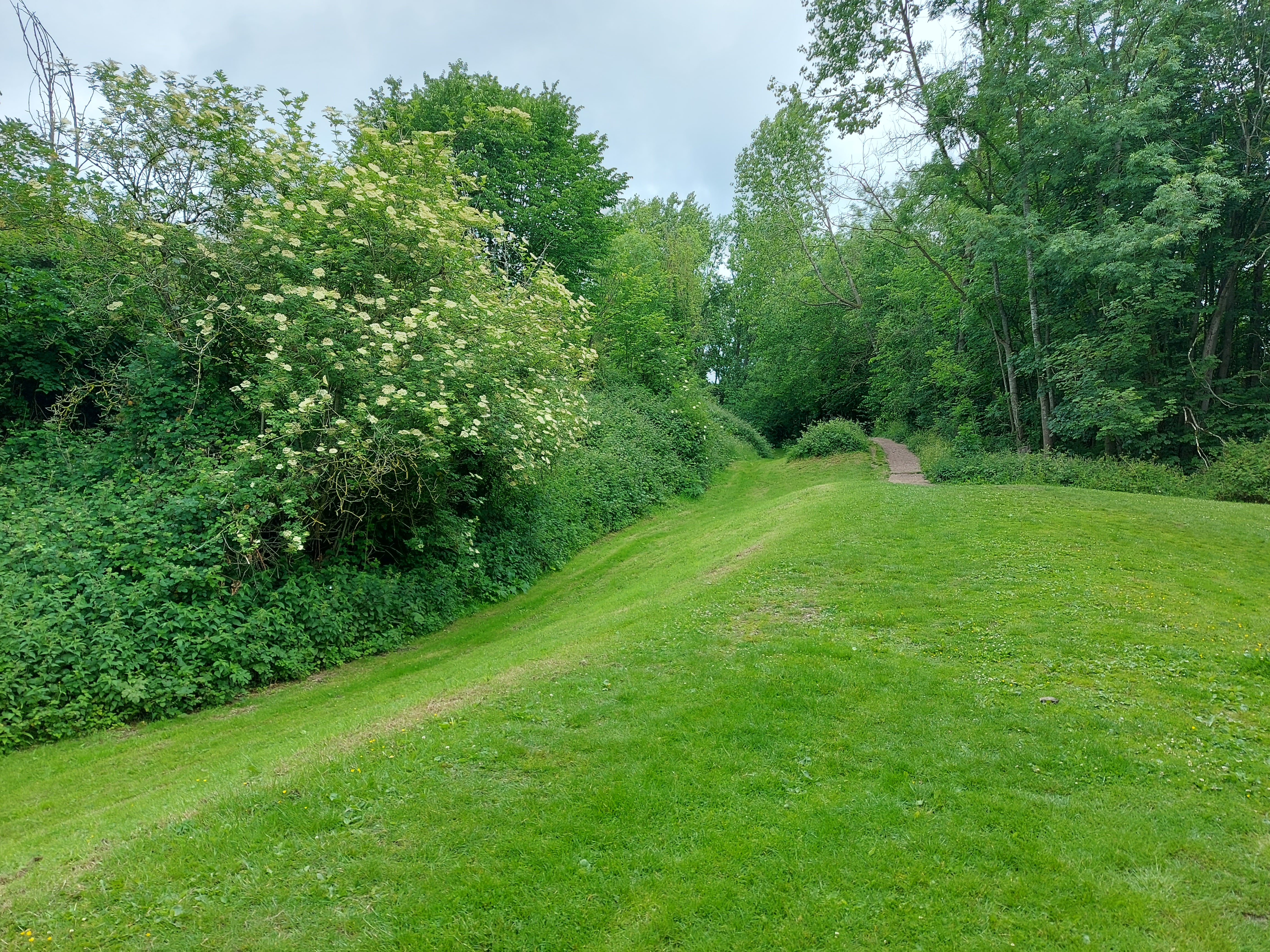 An image of Stafford Castle