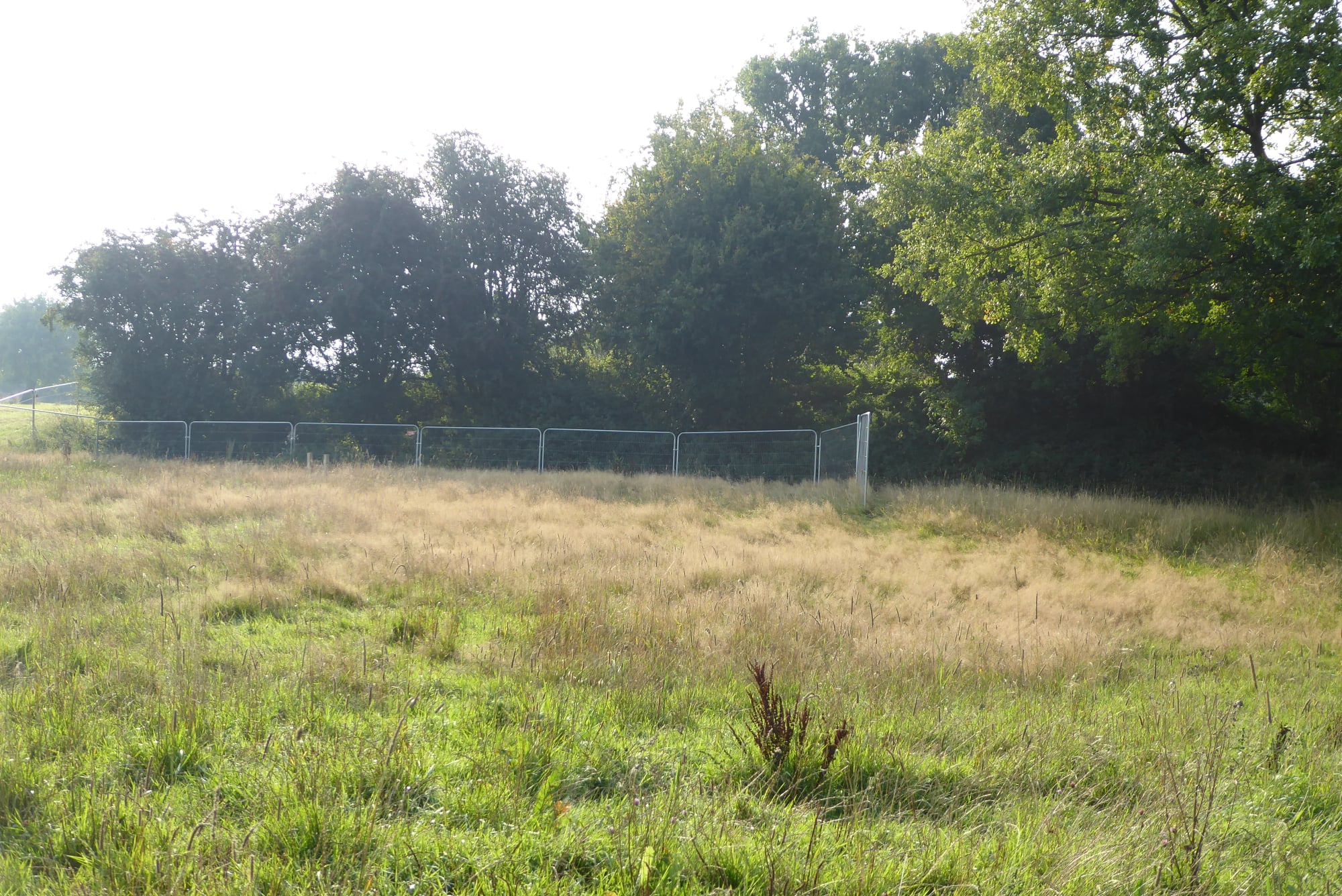 An image of Stoke Cross Motte