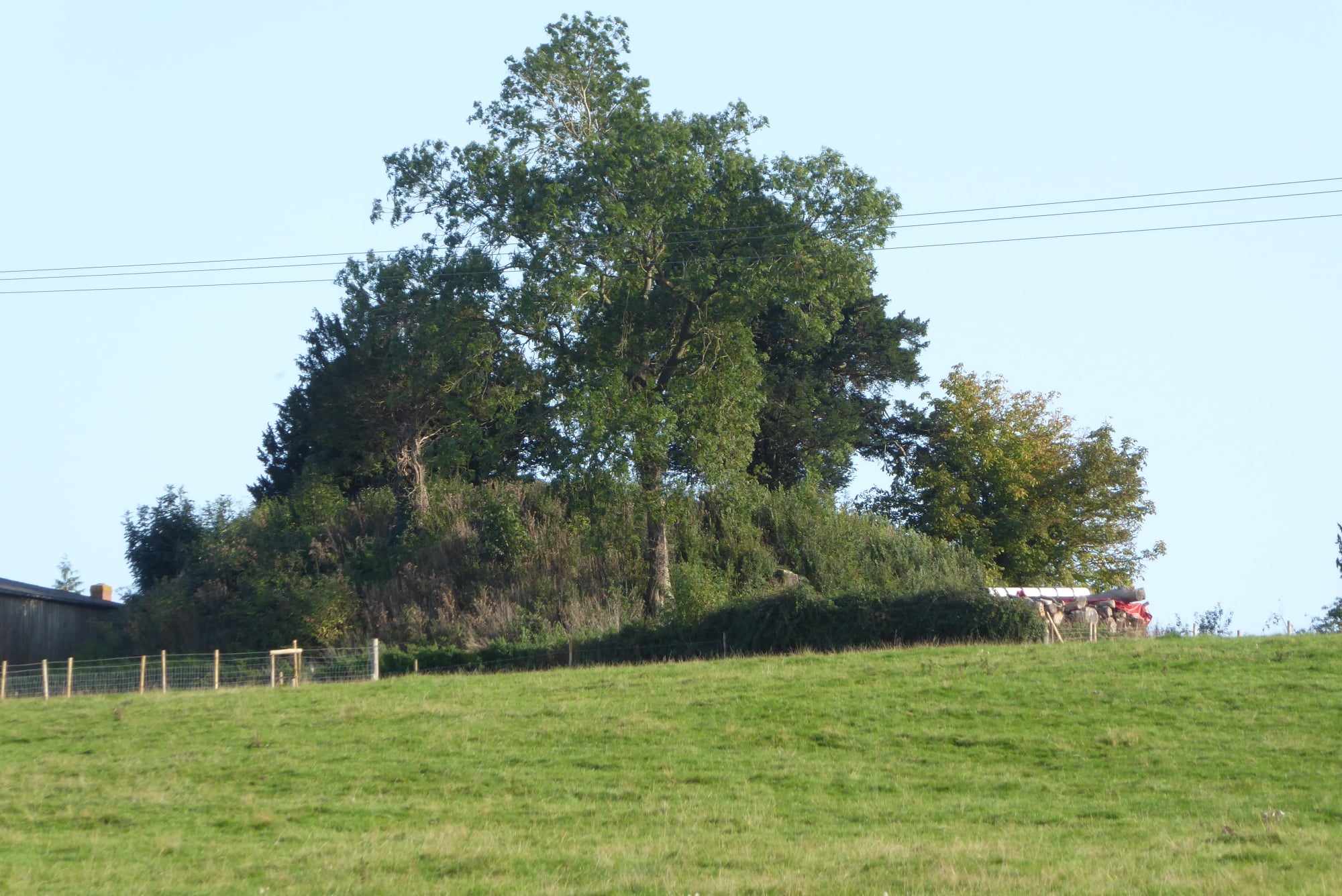 An image of Thruxton Court