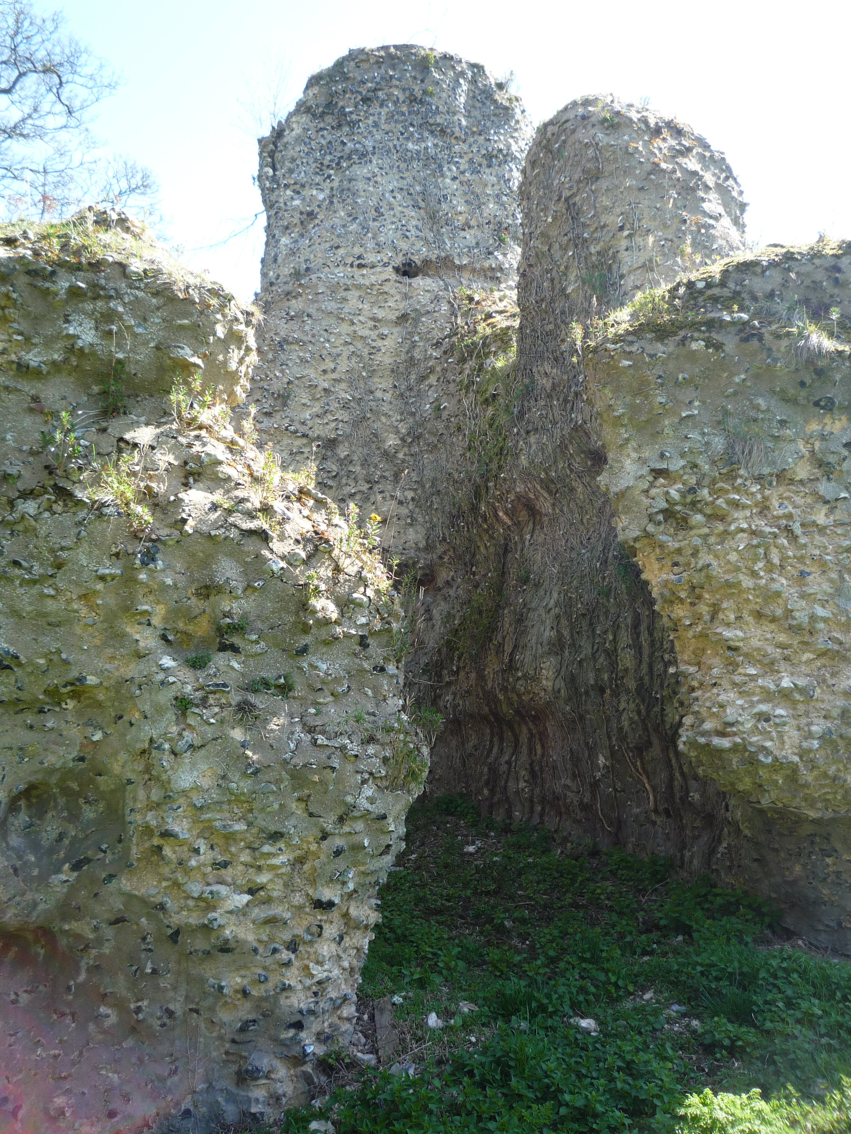 An image of Walden Castle