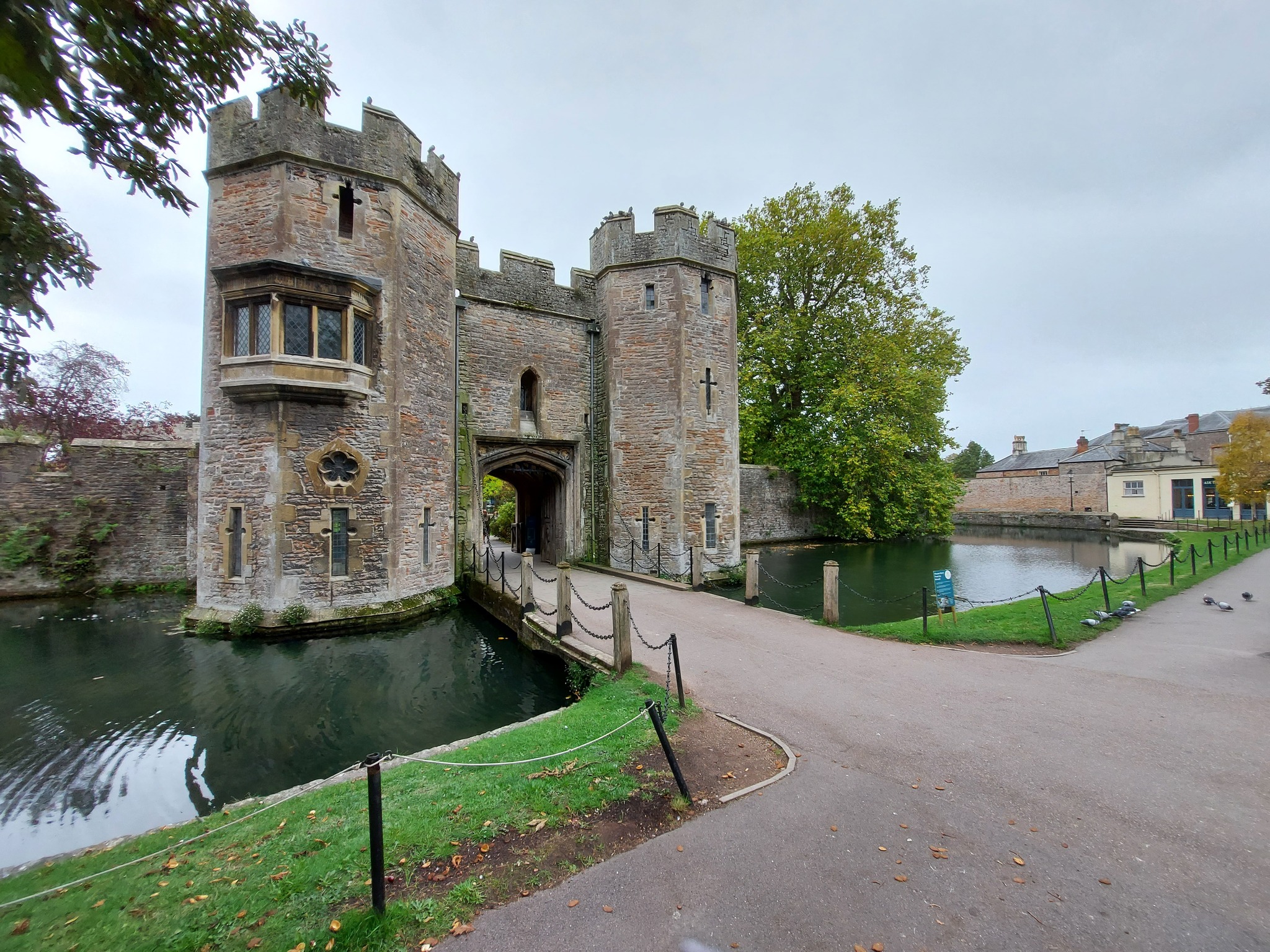 An image of Wells Bishop