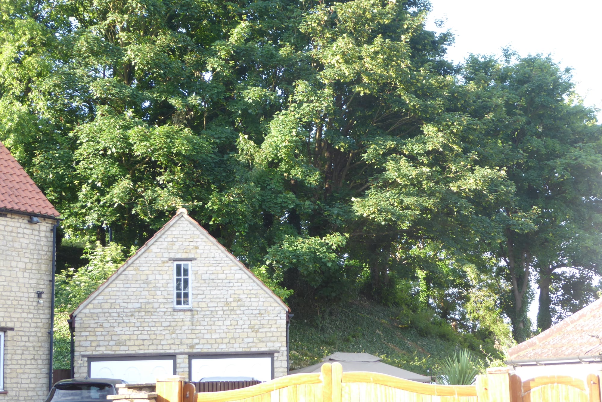 An image of Wollaston Castle