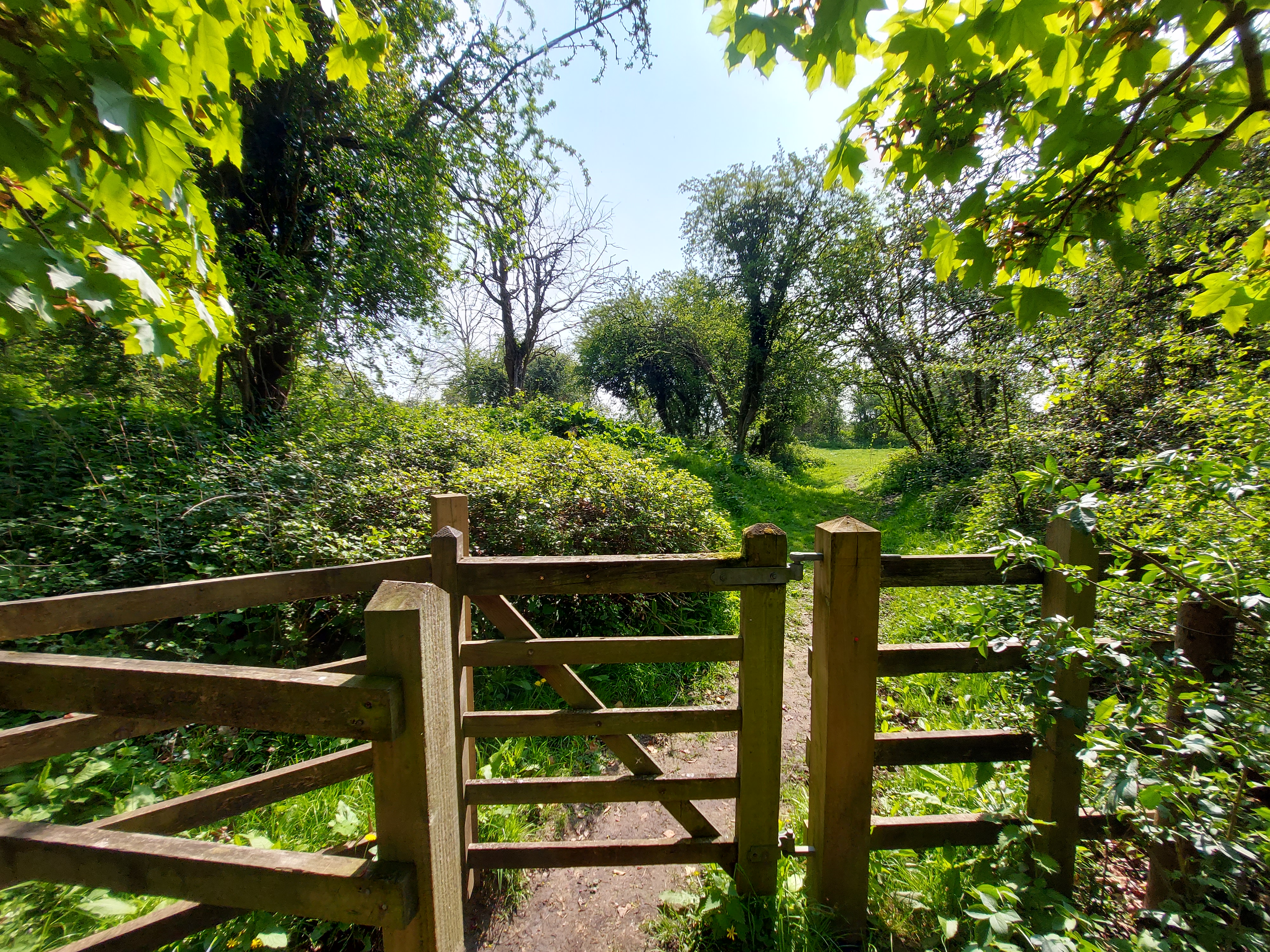 An image of Wymondley Castle